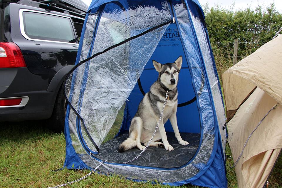 Under The Weather Shelter Tent with dog