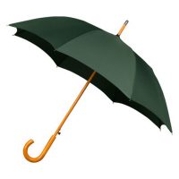 Warwick Windproof Walking Umbrella - Green