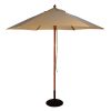 Large Tan parasol